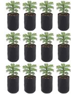 12-Pack 247Garden 1/2 Gallon Basic Aeration Fabric Pots/Plant Grow Bags (Black Color, 200GSM, 6H x 5D)