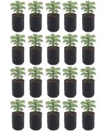 20-Pack 247Garden 1/2 Gallon Basic Aeration Fabric Pots/Plant Grow Bags (Black Color, 200GSM, 6H x 5D)