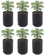 6-Pack 247Garden 1/2 Gallon Basic Aeration Fabric Pots/Air Pruning Plant Grow Bags (Black Color, 200GSM, 6H x 5D)