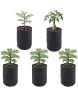 5-Pack 247Garden 1/2 Gallon Basic Aeration Fabric Pots/Plant Grow Bags (Black Color, 200GSM, 6H x 5D)