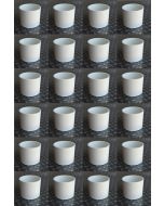 24PC/BOX 4 in. Schedule-40 DWV Coupling Hub x Hub Drain Waste Vent PVC Fitting ASTM D2665 NSF