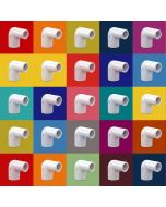 25-PK 1/2 in. SCH-40 PVC 90° Street Elbow Pipe Fittings NSF ASTM D2466 1/2" Slip x 1/2" Spigot
