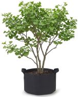 247Garden 25-Gallon Aeration Fabric Pot/Plant Grow Bag w/Handles (Black 16.5H x 21D)