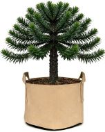 247Garden 30-Gallon Aeration Fabric Pot/Plant Grow Bag w/Handles (Tan w/Black Base 15.5H x 24D)