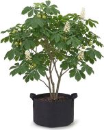 247Garden 30-Gallon Aeration Fabric Pot/Plant Grow Bag w/Handles (Black 15.5H x 24D)