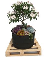 247Garden 40-Gallon Aeration Fabric Pot/Plant Grow Bag w/Handles (Black 17H x 26.5D)