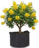 247Garden 50-Gallon Aeration Fabric Pot/Plant Grow Bag w/Handles (300GSM Black 17H x 31D)