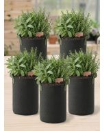 247Garden 7-Gallon Tall Aeration Fabric Pot/Tree Grow Bag (Black w/Green Handles 17H x 11D) 5-Pack w/Free Shipping USA