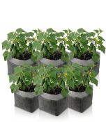 5-Pack 2-Gallon OG Starter Plant Grow Bags White 60GSM Aeration Fabric Pots BPA-Free 8.5D x 7.5H w/Adjustable Height +Free Shipping Mainland USA