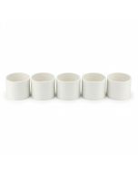 5-Pack 2 in. Schedule-40 DWV Coupling Hub x Hub Drain Waste Vent PVC Fitting ASTM D2665 NSF