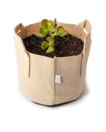 247Garden Lucky Money Bonsai Tree Kit w/1-Gallon Tan Aeration Fabric Pot+Handles (Included 1pc Baby Jade Succulent Plant Cutting 3-4" +BPA-Free Breatheable Grow Bag) - No Soil Incl. w/100% Satisfaction Guaranteed