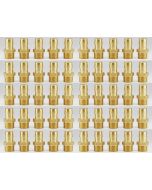 50-Pack 3/4 in. PEX-A Male Adapter Expansion Fittings NSF Lead Free Brass F1960