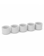 5-Pk 1 in. SCH-40 Female-Threaded NPT Caps PVC Pipe Fittings NSF ASTM D2466