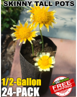 247Garden 1/2-Gallon Skinny Tall Black Fabric Pot/Deep Aeration Plant Grow Bag 4D x 10H 24-Pack