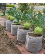 5-Pack 247Garden 3-Gallon OG Square Starter Plant Grow Bags White 60GSM Aeration Fabric Pots BPA-Free 8.5D x 7.5H w/Adjustable Height +Free Shipping USA