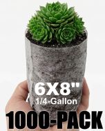 247Garden 1000-Pack 6x8" 1/4-Gallon Aeration Seedling Pots/Nursery Fabric Plant Grow Bags (40GSM Non-Woven Eco-Friendly Fabric ~6H x 3.5D 0.25-Gallon) w/Free USA Mainland Shipping