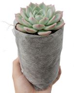 247Garden 7x9" 0.40-Gallon Aeration Seedling Pot/Nursery Fabric Plant Grow Bag/Cover/Filter (40GSM Non-Woven Eco-Friendly White Fabric) Loaded Dimension 4D x 7H