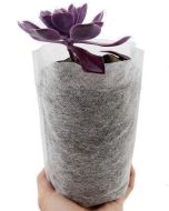 247Garden 8X10" Aeration Seedling Pot/Nursery Fabric Plant Grow Bag/Cover/Filter (40GSM Non-Woven BPA-Free 4.5D x 8H 1/2-Gallon)