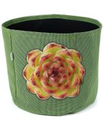 247Garden Echeveria 'Moon Stone' Succulent Plant Cutting 90mm/3.5" +One Gallon Textilene Aeration Fabric Pot/Grow Bag Forest Green