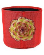 247Garden Echeveria 'Moon Stone' Succulent Plant Cutting 90mm/3.5" +One Gallon Textilene Aeration Fabric Pot/Grow Bag Red Pepper