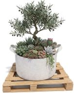 247Garden 40-Gallon Aeration Fabric Pot/Planting Grow Bag w/Handles (White w/Black Base 17H x 26.5D)