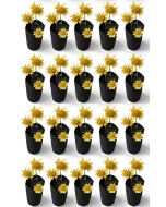 247Garden 1/4-Gallon Skinny Tall Black Fabric Pots/Aeration Grow Bags 3D x 8H Ideal for Deep Root Plants 20-Pack BPA-Free